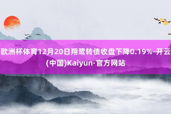 欧洲杯体育12月20日翔鹭转债收盘下降0.19%-开云(中国)Kaiyun·官方网站