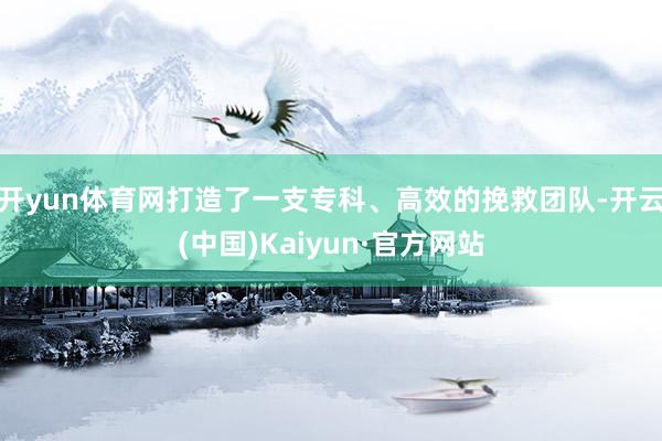 开yun体育网打造了一支专科、高效的挽救团队-开云(中国)Kaiyun·官方网站