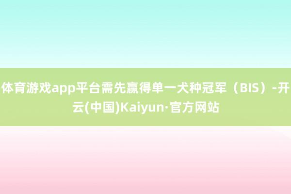 体育游戏app平台需先赢得单一犬种冠军（BIS）-开云(中国)Kaiyun·官方网站