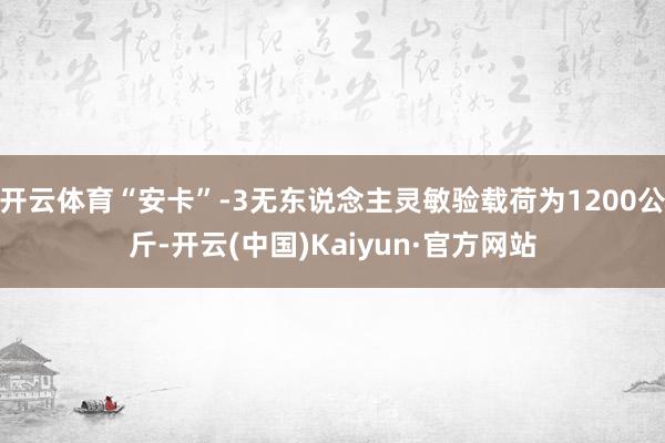 开云体育“安卡”-3无东说念主灵敏验载荷为1200公斤-开云(中国)Kaiyun·官方网站