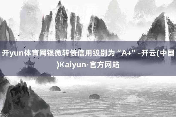 开yun体育网银微转债信用级别为“A+”-开云(中国)Kaiyun·官方网站