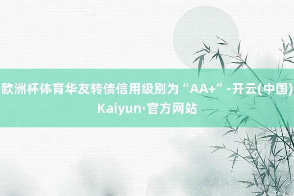 欧洲杯体育华友转债信用级别为“AA+”-开云(中国)Kaiyun·官方网站