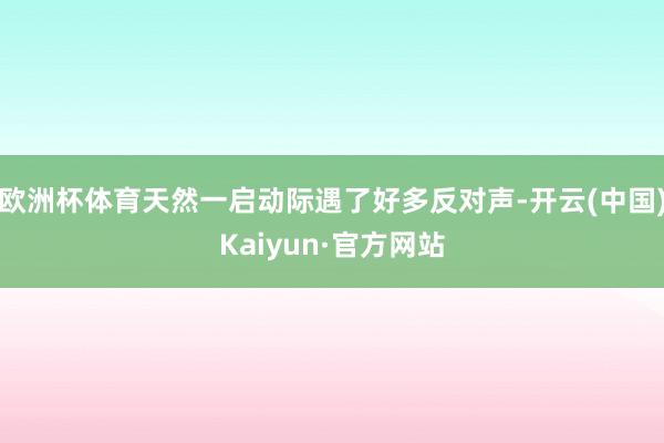 欧洲杯体育天然一启动际遇了好多反对声-开云(中国)Kaiyun·官方网站